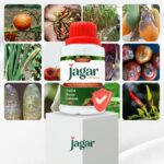 Pupuk JAGAR Anti Patek – FB